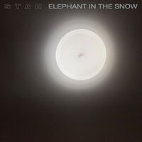 Star - Elephant In The Snow
