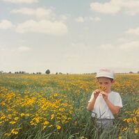 Jason Scott - American Grin [Colored Vinyl] (Grn)
