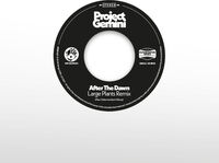 After The Dawn - Large Plants Remix / Darkness