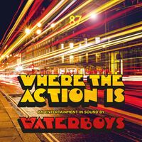 The Waterboys - Where The Action Is [LP]