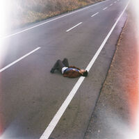 For Tracy Hyde - Ethernity [Limited Edition]