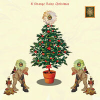 Strange Daisy Christmas / Various