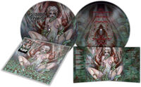 Worm Infested - Pitcure Disc