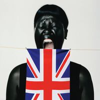 Am I British Yet (Uk)
