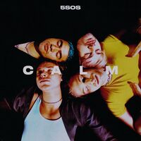 5 Seconds Of Summer - Calm [Clean]