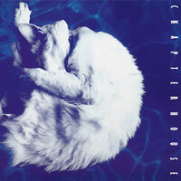 Chapterhouse - Whirlpool [180 Gram Black/White Marble]