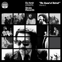 Dj Amir Presents Strata Records: Sound Of Detroit