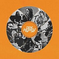 Drugdealer - Raw Honey [LP]
