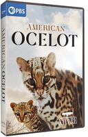 Nature: American Ocelot - NATURE: American Ocelot