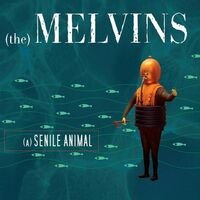 Melvins - (A) Senile Animal [Blue LP]