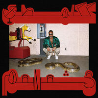 Shabazz Palaces - Robed In Rareness [Ruby LP]