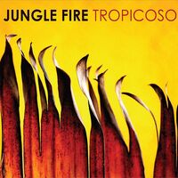 Jungle Fire - Tropicoso [Limited Edition Pink LP]