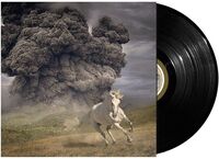 The White Buffalo - Year Of The Dark Horse [LP]