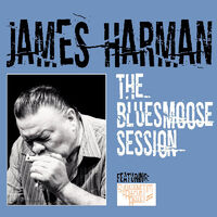 Bluesmoose Session