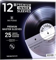 Big Fudge Bfpis7x25 12 Inch Vinyl Record Premium I