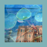 Reds Pinks & Purples - Acknowledge Kindness [Indie Exclusive Subconscious Window]