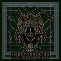 NEEDTOBREATHE - Live From The Woods Vol 2