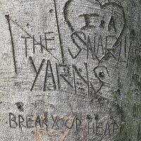 Break Your Heart