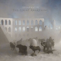 The Great Awakening