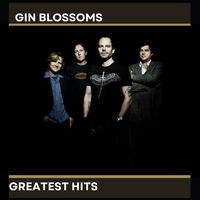Gin Blossoms' Greatest Hits (Mod)