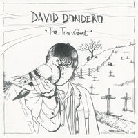 The Transient (Two-tone Black & White Vinyl)