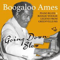 Boogaloo, Ames - Going Down Slow