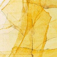 Central Parks Mosaic Of Reservoir, Lake, Paths And