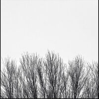 White Sky