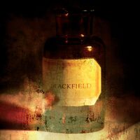 Blackfield (Aniv)