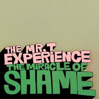 Miracle Of Shame