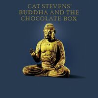 Buddha And The Chocolate Box