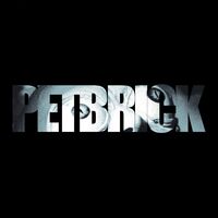 Petbrick