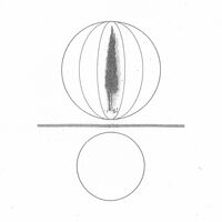 Spheres Collapser