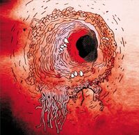 Flying Luttenbachers - Terror Iridescence