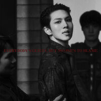 EVERYBODY'S GUILTY, BUT NO ONE'S TO BLAME (LIMITED)