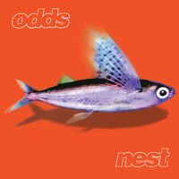 Nest