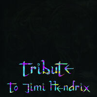 Tribute To Jimi Hendrix