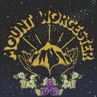 Mount Worcester - Orange
