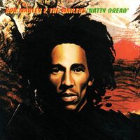 Natty Dread (2lp Box/45 Rpm 180 Gram Uhqr Clarity Audiophile Vinyl/limited)