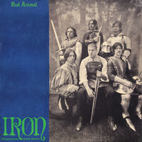 Iron Expansion Pack - Silver