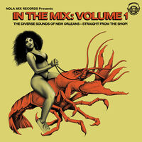 In The Mix: Volume 1 / Various