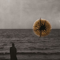 Echoes Of Impermanence