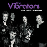 Splitting Up Demos 1978 - Purple