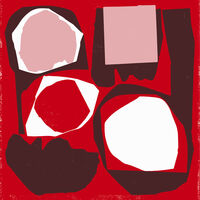 Mr Bongo Record Club Volume Five / Various