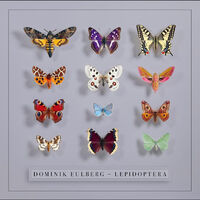 Lepidoptera (Uk)