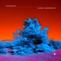 Global Underground: Afterhours 9 / Various