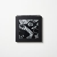Lex Xx (W/Book) (Blk) (Gate) (Ltd) (Ogv) (Pict) - Lex Xx (W/Book) (Blk) (Gate) [Limited Edition] [180 Gram] (Pict)