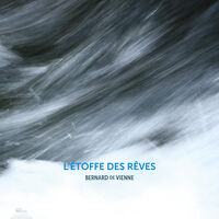 Bernard De Vienne: L'etoffe Des Reves