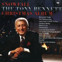 Snowfall