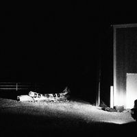 Cloud Nothings - Last Building Burning [Indie Exclusive Limited Edition Clear LP]